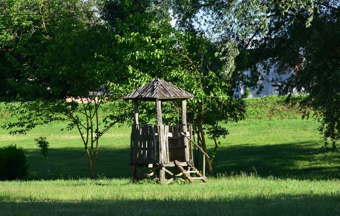 Walking tour in Kopacki Rit Nature Park, Croatia